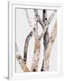 Gramercy White
