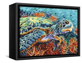 Sea Sweetheart I-Carolee Vitaletti-Framed Stretched Canvas