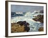 Sea Tang-William Ritschel-Framed Art Print