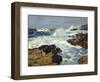 Sea Tang-William Ritschel-Framed Art Print