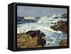 Sea Tang-William Ritschel-Framed Stretched Canvas