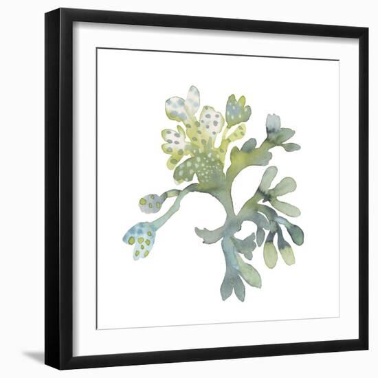 Sea Tangle II-Sandra Jacobs-Framed Giclee Print