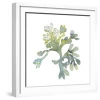 Sea Tangle II-Sandra Jacobs-Framed Giclee Print