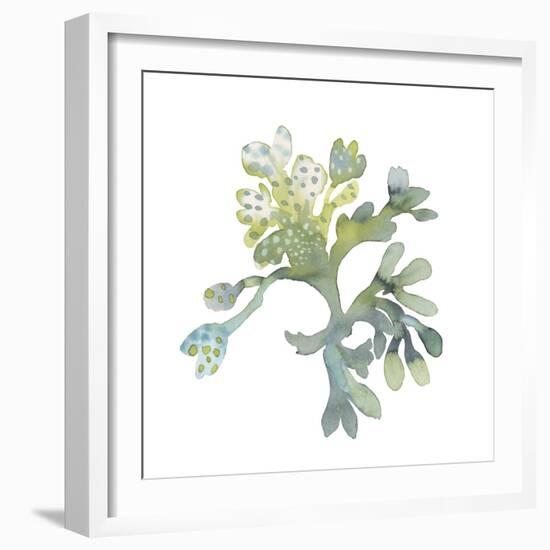 Sea Tangle II-Sandra Jacobs-Framed Giclee Print