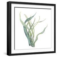 Sea Tangle IV-Sandra Jacobs-Framed Giclee Print