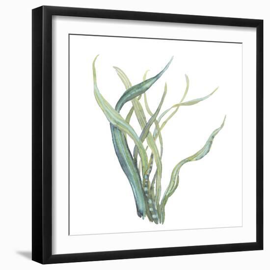 Sea Tangle IV-Sandra Jacobs-Framed Giclee Print