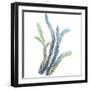 Sea Tangle VI-Sandra Jacobs-Framed Giclee Print