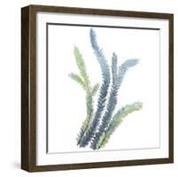 Sea Tangle VI-Sandra Jacobs-Framed Giclee Print