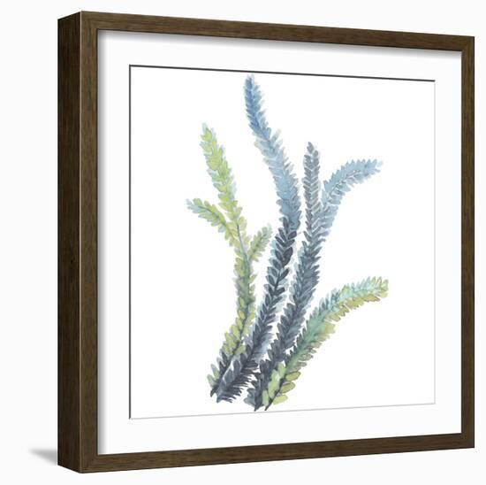 Sea Tangle VI-Sandra Jacobs-Framed Giclee Print