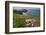 Sea thrift and Kidney vetch flowering on clifftop, Trevose Head, Cornwall, UK, May.-Nick Upton-Framed Photographic Print