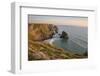 Sea thrift growing on cliffs overlooking Bedruthan Steps, Cornwall, England, United Kingdom, Europe-Stephen Spraggon-Framed Photographic Print