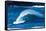 Sea Through-Powerful wave breaking off a beach, Hawaii-Mark A Johnson-Framed Stretched Canvas