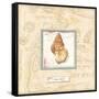 Sea Treasure I-Charlene Audrey-Framed Stretched Canvas