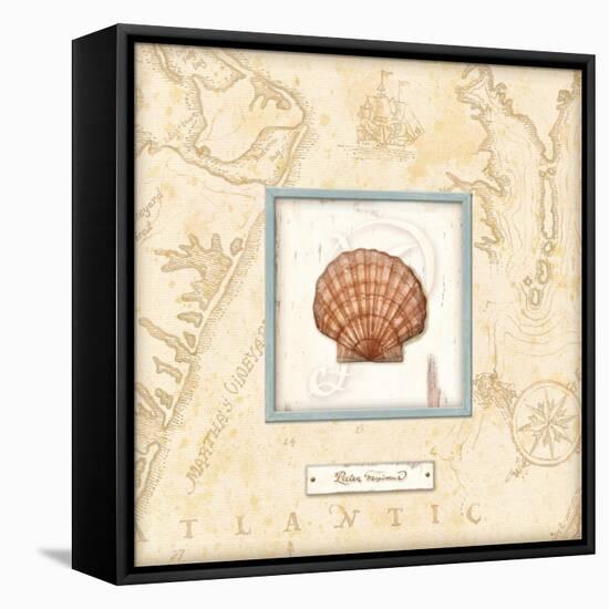 Sea Treasure II-Charlene Audrey-Framed Stretched Canvas