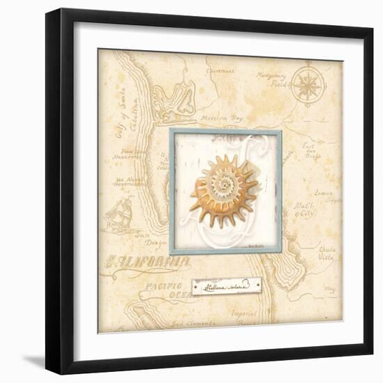 Sea Treasure III-Charlene Audrey-Framed Art Print