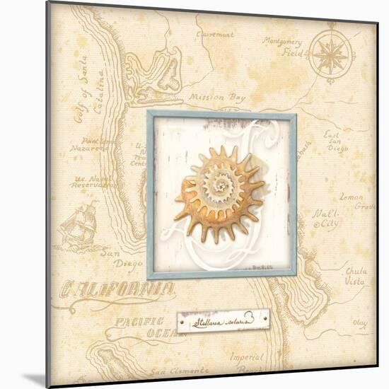 Sea Treasure III-Charlene Audrey-Mounted Art Print