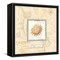 Sea Treasure III-Charlene Audrey-Framed Stretched Canvas