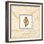 Sea Treasure IV-Charlene Audrey-Framed Premium Giclee Print