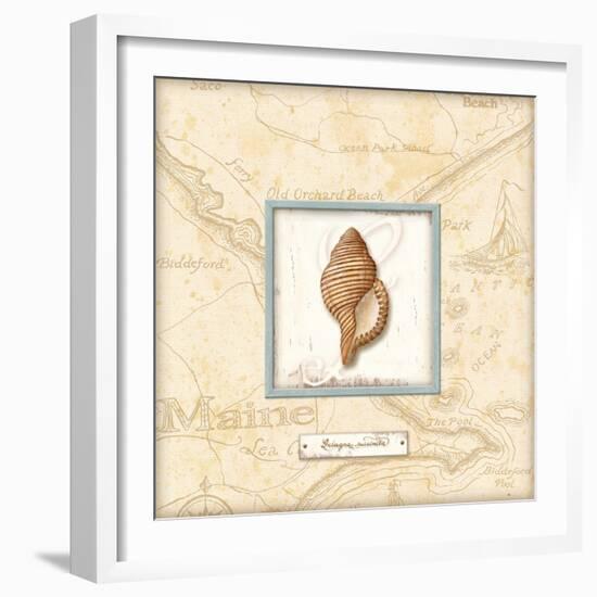 Sea Treasure IV-Charlene Audrey-Framed Art Print