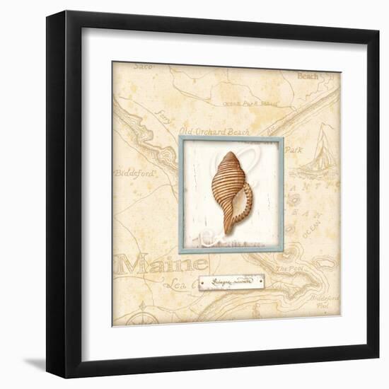 Sea Treasure IV-Charlene Audrey-Framed Art Print