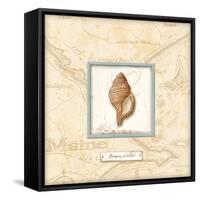 Sea Treasure IV-Charlene Audrey-Framed Stretched Canvas