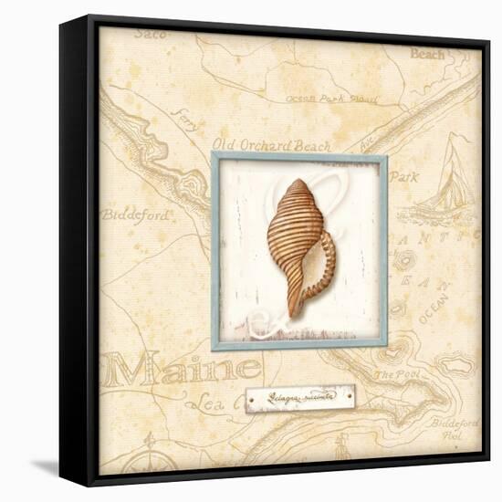 Sea Treasure IV-Charlene Audrey-Framed Stretched Canvas