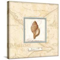 Sea Treasure IV-Charlene Audrey-Stretched Canvas