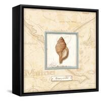 Sea Treasure IV-Charlene Audrey-Framed Stretched Canvas