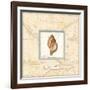 Sea Treasure IV-Charlene Audrey-Framed Art Print