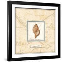 Sea Treasure IV-Charlene Audrey-Framed Art Print