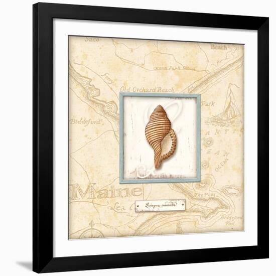 Sea Treasure IV-Charlene Audrey-Framed Art Print