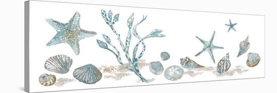 Sea Treasures - Shells-Sandra Jacobs-Stretched Canvas