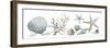 Sea Treasures-Sandra Jacobs-Framed Giclee Print