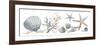 Sea Treasures-Sandra Jacobs-Framed Giclee Print