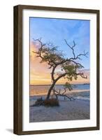 Sea Tree-Mary Lou Johnson-Framed Art Print