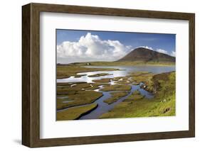 Sea Turf at Northton-Lee Frost-Framed Photographic Print