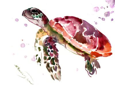 https://imgc.allpostersimages.com/img/posters/sea-turtle-1_u-L-F9JRDZ0.jpg?artPerspective=n