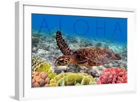 Sea Turtle and Coral - Aloha-Lantern Press-Framed Art Print