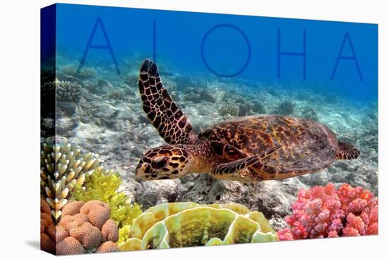 Sea Turtle and Coral - Aloha-Lantern Press-Stretched Canvas
