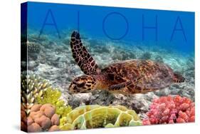 Sea Turtle and Coral - Aloha-Lantern Press-Stretched Canvas