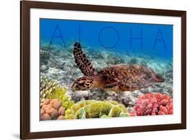 Sea Turtle and Coral - Aloha-Lantern Press-Framed Art Print