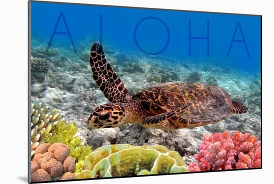 Sea Turtle and Coral - Aloha-Lantern Press-Mounted Art Print