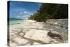 Sea Turtle, Anse Source D'Argent Beach, La Digue, Seychelles, Indian Ocean, Africa-Sergio Pitamitz-Stretched Canvas