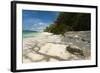 Sea Turtle, Anse Source D'Argent Beach, La Digue, Seychelles, Indian Ocean, Africa-Sergio Pitamitz-Framed Photographic Print