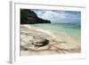 Sea Turtle, Anse Source D'Argent Beach, La Digue, Seychelles, Indian Ocean, Africa-Sergio Pitamitz-Framed Photographic Print