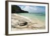 Sea Turtle, Anse Source D'Argent Beach, La Digue, Seychelles, Indian Ocean, Africa-Sergio Pitamitz-Framed Photographic Print