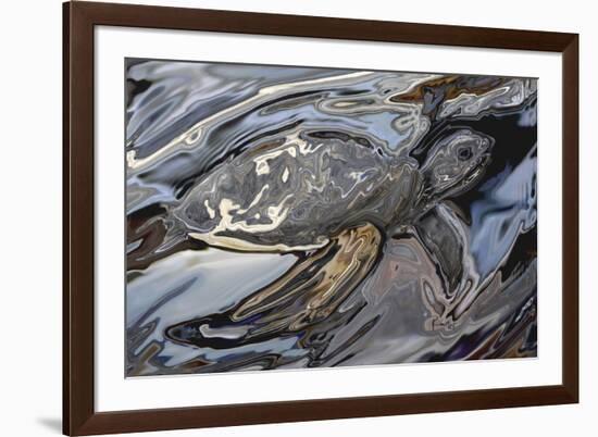 Sea Turtle At Risk-Rabi Khan-Framed Art Print