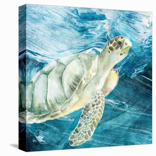 Sea Turtle Blues-Kimberly Allen-Stretched Canvas