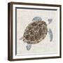 Sea Turtle I-Naomi McCavitt-Framed Art Print