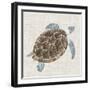 Sea Turtle I-Naomi McCavitt-Framed Art Print